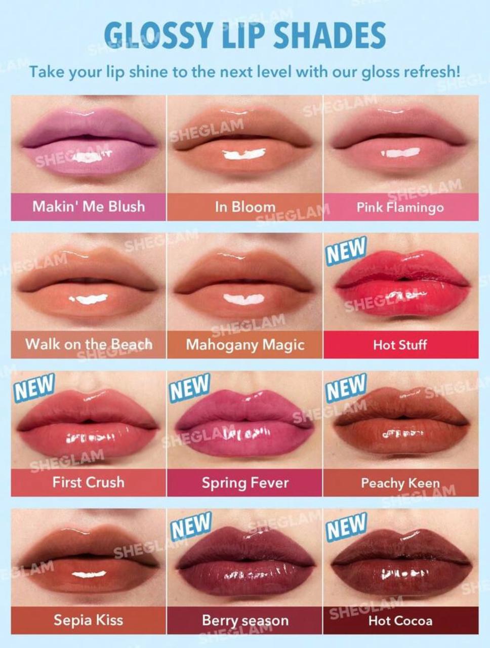 HEGLAM Coffret De 12 Rouges à LèVres Repulpants Hydratants Et Repulpants