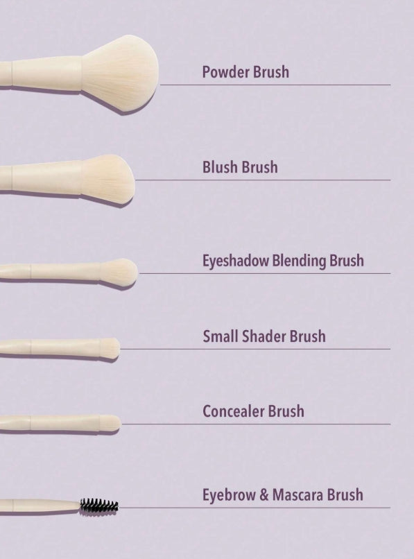 SHEGLAM Pro Core Brush Kit 6 Pcs/Set Professional Makeup Brushes Soft Brush Set With Face Brush